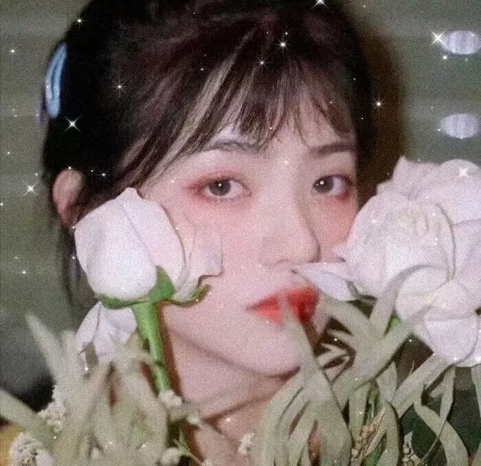 闪闪惹人爱